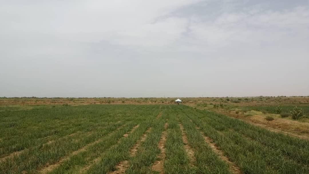 Parcelles agricoles protégées